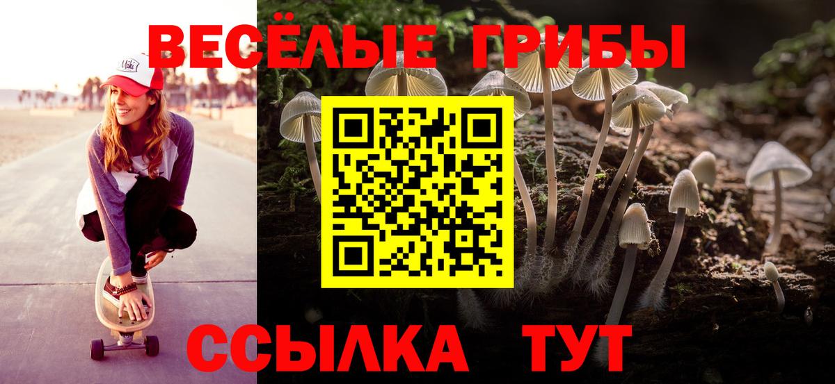 Галлюциногенные грибы ЛСД  Вход с VPN  купить наркотик  Псилоцибиновые грибы Psilocybe  Гусев 