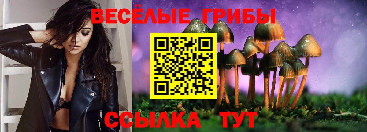 Псилоцибиновые грибы мицелий Гусев